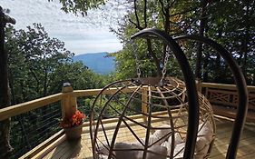 Authentic, Rustic, Cute & Cozy!
